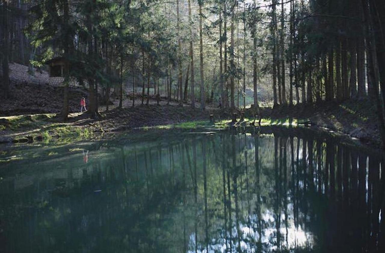 Ferienhaus "Schmetterling" Am See Im Bergland Кирххайм Экстерьер фото